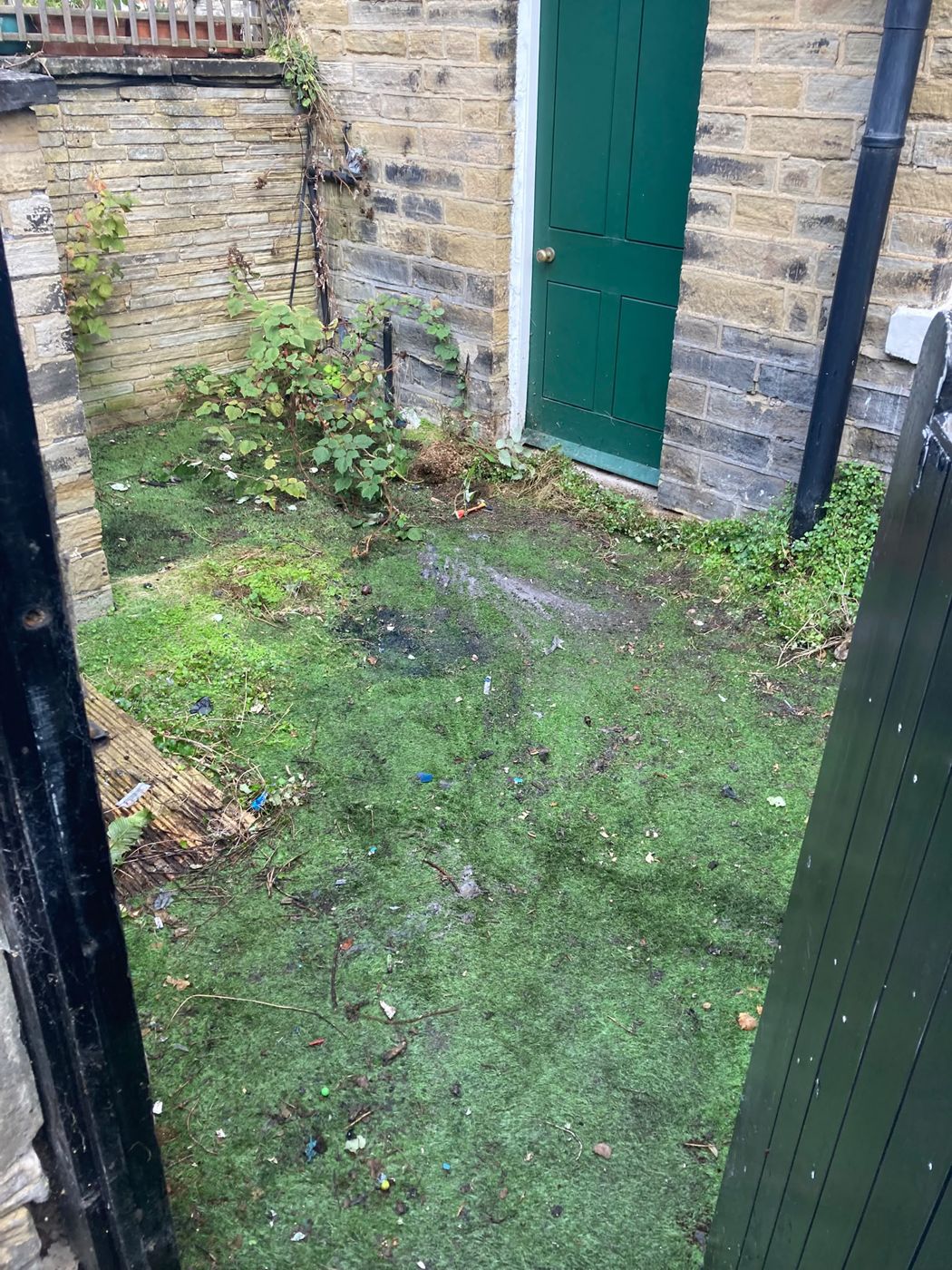 After: Back yard clearance: bags, junk and garden waste removed